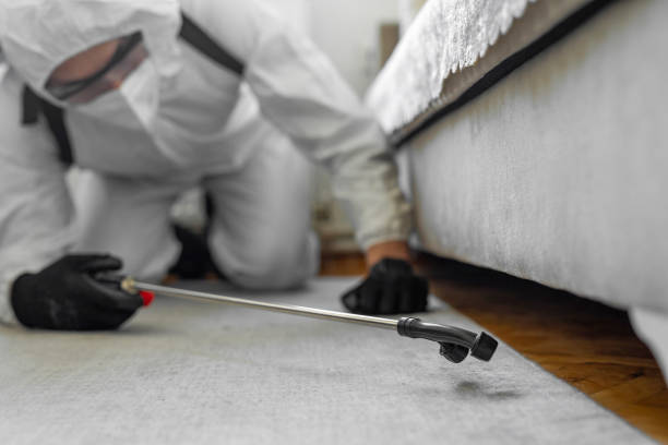 Professional Rodent Control technician working in Washington County County, FL